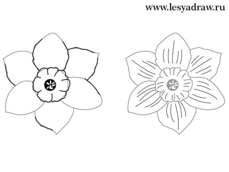 Цветы карандашом для начинающих легкие