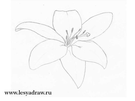 Схемы рисования цветов