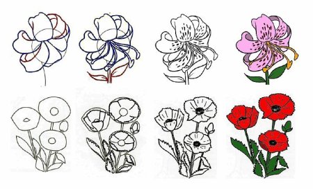 Простые цветы для рисования
