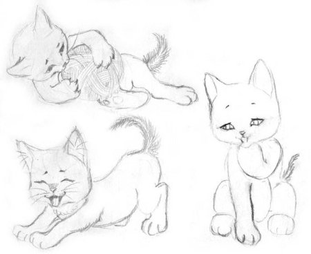Котик рисунок карандашом
