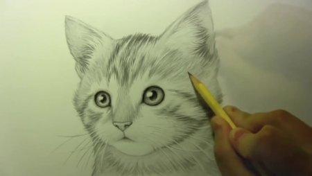 Лёгкие рисунки котят