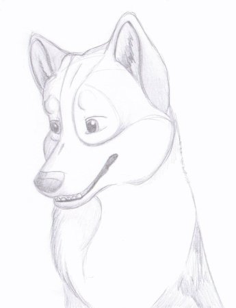 Рисунок собаки для срисовки