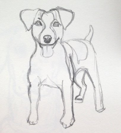 Как нарисовать Джек Рассела терьера легко