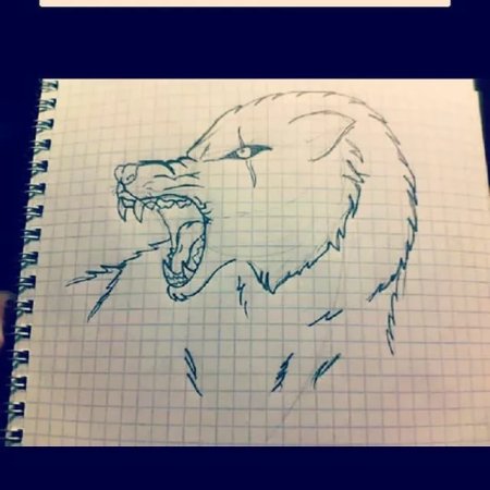 Рисунки по клеточкам