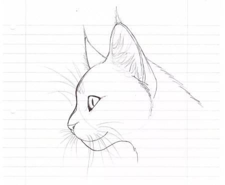 Кошечка рисунок легко и красиво