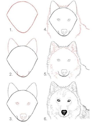 Рисунки Волков карандашом