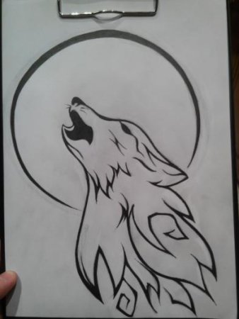 Рисунки Волков простым карандашом