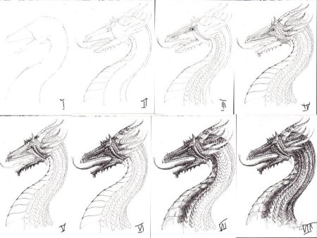 Пошаговые рисунки драконов