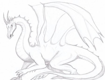 Драконы для срисовки красивые