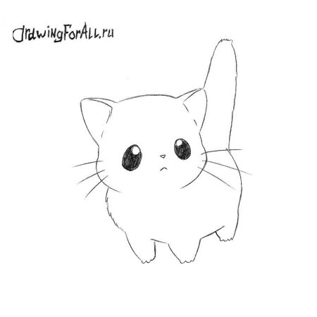 Котики для срисовки карандашом