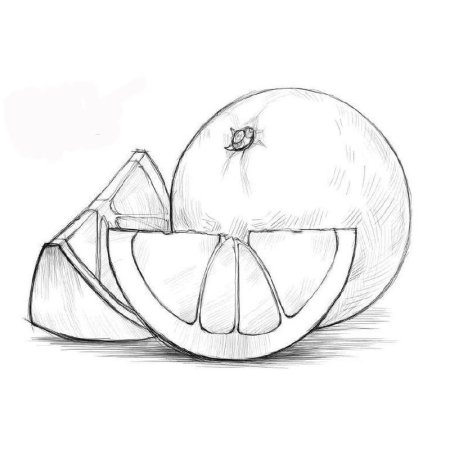 Фрукты для срисовки карандашом