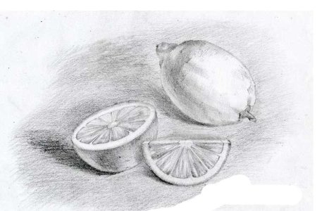 Лимон рисунок карандашом