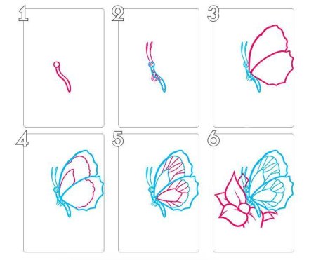 Как нарисовать бабочку пошагово