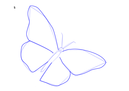 Нарисовать бабочку