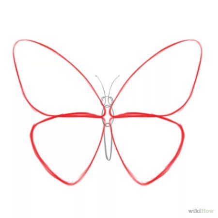 Рисунки бабочек для срисовки