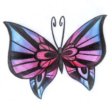 Бабочка раскраска для детей