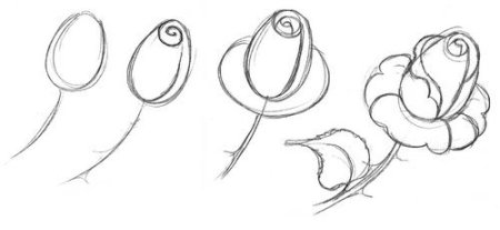 Рисунок на 8 марта розы по этапно