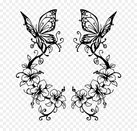 Красивые узоры бабочки