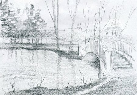 Рисунки карандашом природа