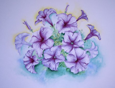 Петуния акварель