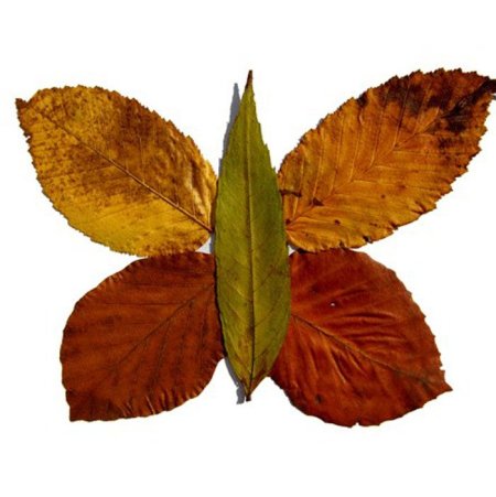 Фигурки из осенних листьев