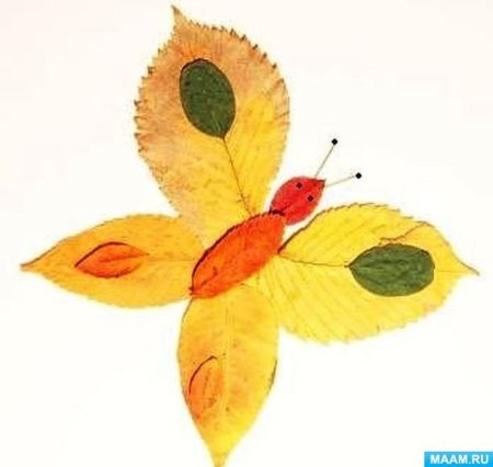 Поделка бабочка из листьев