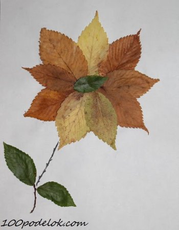 Поделки из листьев
