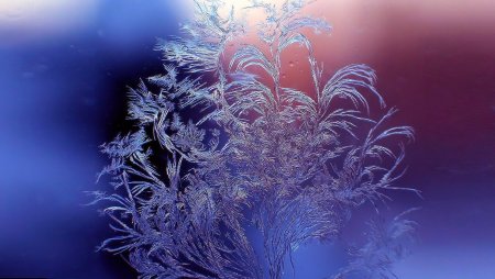 Снежинки на прозрачном фоне