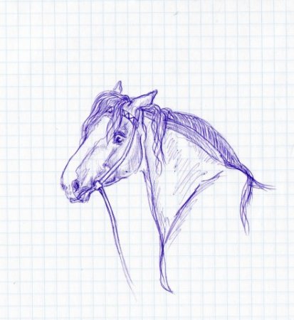 Рисунки лошадей ручкой