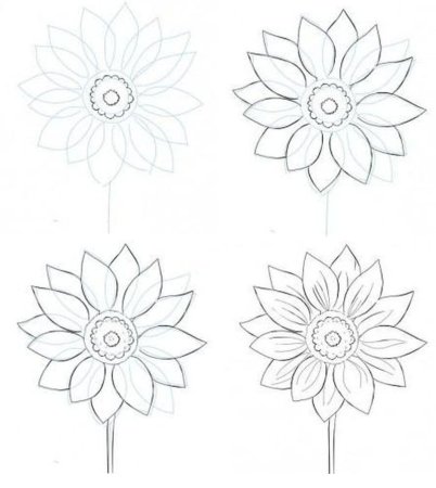 Цветы для срисовки для начинающих