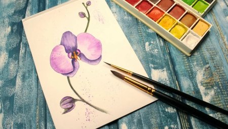 Рисунки акварелью легкие