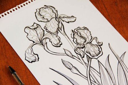 Рисунки маркерами