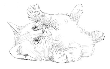 Рисунки котиков карандашом
