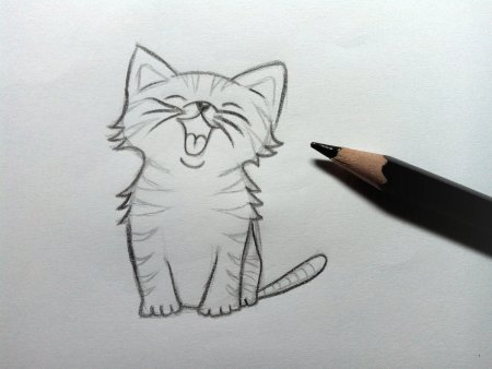 Рисунок котёнка карандашом легко