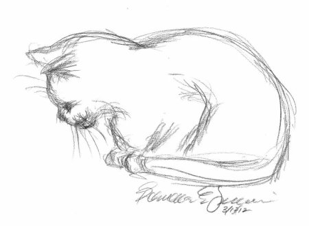 Рисунок кота для срисовки