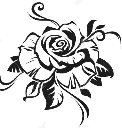 Цветок трайбл