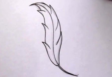 Рисунок ручкой для начинающих