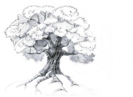 Красивое дерево карандашом