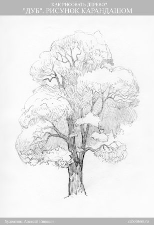 Дерево карандашом