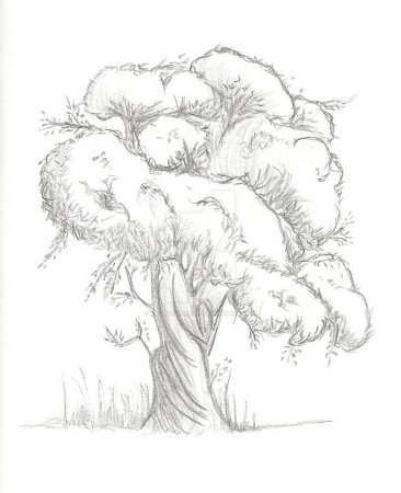 Буба карандашом