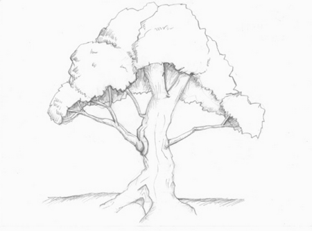 Дерево карандашом