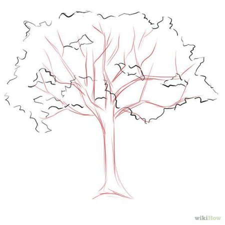 Наброски деревьев карандашом