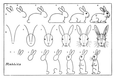 Поэтапное рисование зайца для дошкольников