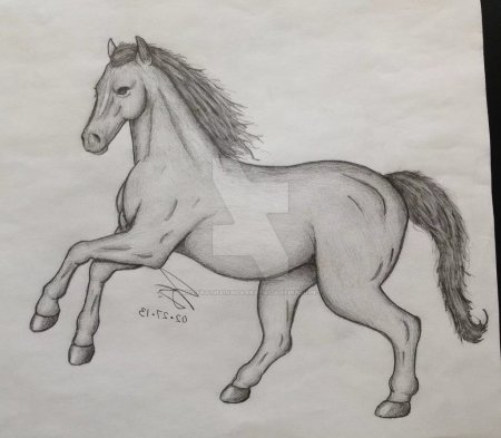 Рисунки карандашом