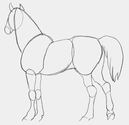 Как нарисовать коня карандашом поэтапно