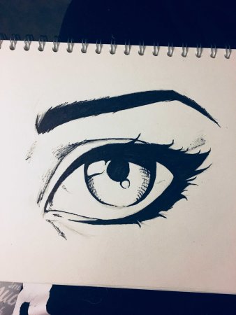 Панда рисунок для срисовки