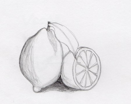 Натюрморт карандашом легкий