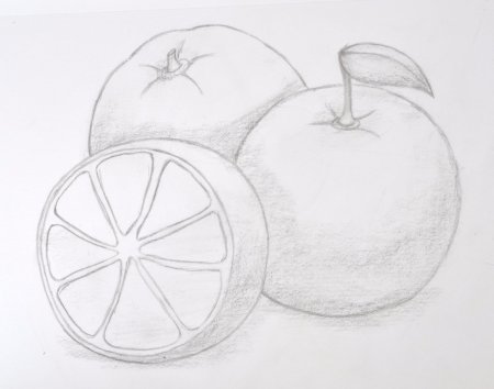 Фрукты карандашом для начинающих