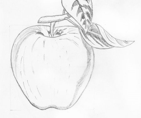 Поэтапное рисование груши