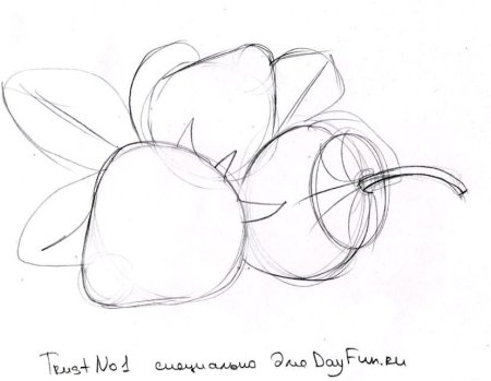 Груша карандашом